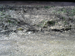 長野県菅平高原 ゆたか山荘 東側(坂下) 2026/04/13 07:45