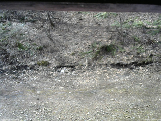 長野県菅平高原 ゆたか山荘 東側(坂下) 2026/04/13 08:30