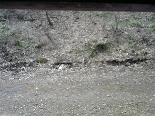 長野県菅平高原 ゆたか山荘 東側(坂下) 2026/04/13 09:30