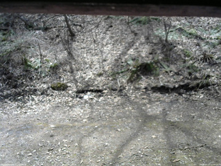 長野県菅平高原 ゆたか山荘 東側(坂下) 2026/04/13 11:00