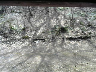 長野県菅平高原 ゆたか山荘 東側(坂下) 2026/04/13 11:30