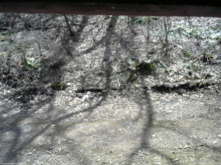 長野県菅平高原 ゆたか山荘 東側(坂下) 2026/04/13 12:00