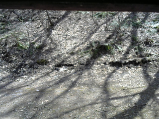 長野県菅平高原 ゆたか山荘 東側(坂下) 2026/04/13 13:00