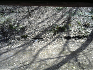 長野県菅平高原 ゆたか山荘 東側(坂下) 2026/04/13 13:15