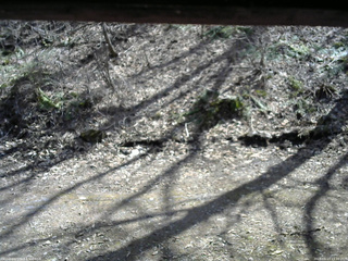 長野県菅平高原 ゆたか山荘 東側(坂下) 2026/04/13 13:30