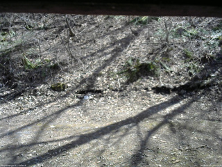 長野県菅平高原 ゆたか山荘 東側(坂下) 2026/04/13 13:45