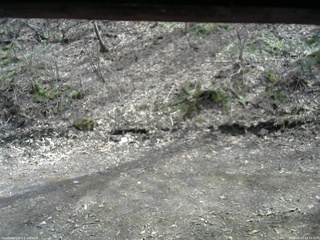 長野県菅平高原 ゆたか山荘 東側(坂下) 2026/04/13 14:15