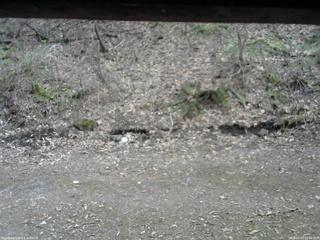 長野県菅平高原 ゆたか山荘 東側(坂下) 2026/04/13 15:00