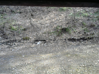 長野県菅平高原 ゆたか山荘 東側(坂下) 2026/04/13 15:15