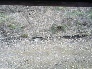 長野県菅平高原 ゆたか山荘 東側(坂下) 2026/04/13 15:30