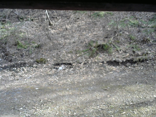 長野県菅平高原 ゆたか山荘 東側(坂下) 2026/04/13 15:45