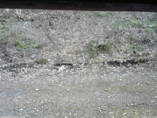 長野県菅平高原 ゆたか山荘 東側(坂下) 2026/04/13 16:30