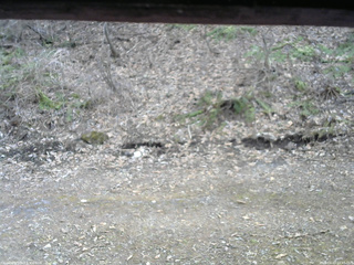 長野県菅平高原 ゆたか山荘 東側(坂下) 2026/04/13 16:45