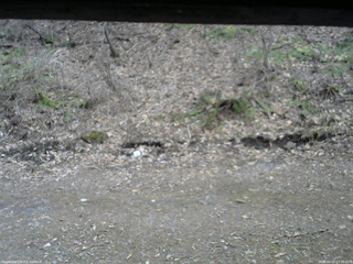 長野県菅平高原 ゆたか山荘 東側(坂下) 2026/04/13 17:30