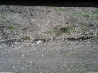 長野県菅平高原 ゆたか山荘 東側(坂下) 2026/04/13 18:00