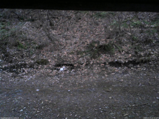 長野県菅平高原 ゆたか山荘 東側(坂下) 2026/04/13 18:30