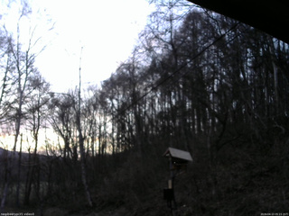 長野県菅平高原 ゆたか山荘 温度計 2026/04/13 05:15