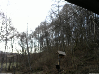 長野県菅平高原 ゆたか山荘 温度計 2026/04/13 06:00