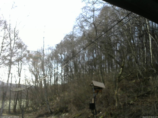 長野県菅平高原 ゆたか山荘 温度計 2026/04/13 06:15