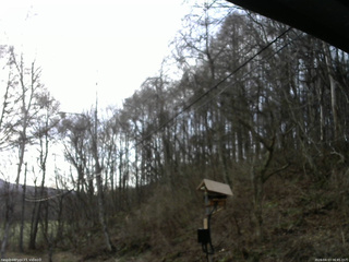 長野県菅平高原 ゆたか山荘 温度計 2026/04/13 06:45