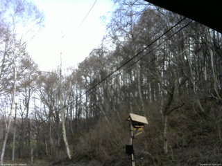 長野県菅平高原 ゆたか山荘 温度計 2026/04/13 15:30