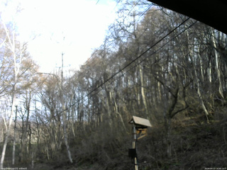 長野県菅平高原 ゆたか山荘 温度計 2026/04/13 16:45