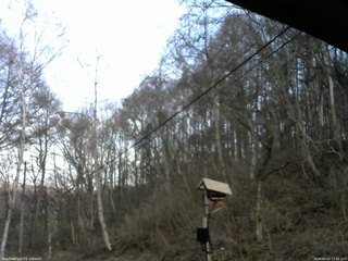 長野県菅平高原 ゆたか山荘 温度計 2026/04/13 17:45