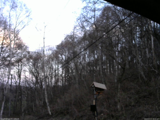 長野県菅平高原 ゆたか山荘 温度計 2026/04/13 18:15