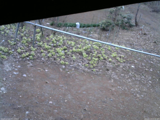 長野県菅平高原 ゆたか山荘 駐車場 2026/04/13 05:15