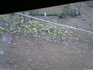 長野県菅平高原 ゆたか山荘 駐車場 2026/04/13 05:30