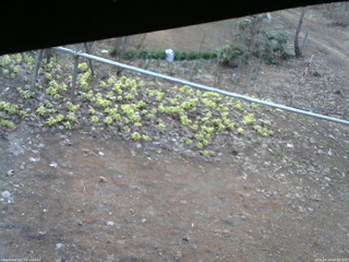 長野県菅平高原 ゆたか山荘 駐車場 2026/04/13 06:00