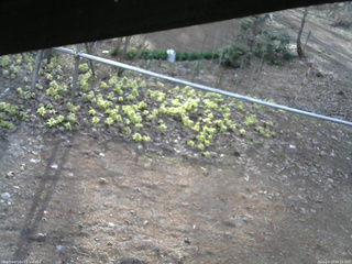 長野県菅平高原 ゆたか山荘 駐車場 2026/04/13 06:15