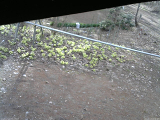 長野県菅平高原 ゆたか山荘 駐車場 2026/04/13 06:30