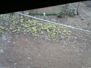 長野県菅平高原 ゆたか山荘 駐車場 2026/04/13 06:45