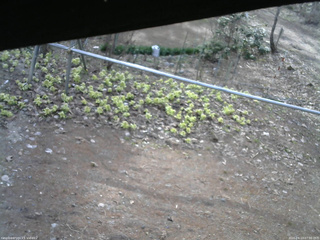 長野県菅平高原 ゆたか山荘 駐車場 2026/04/13 07:00