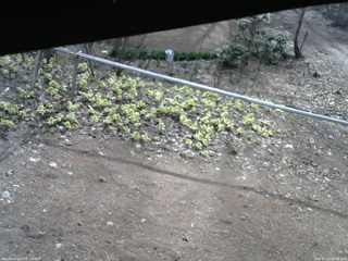 長野県菅平高原 ゆたか山荘 駐車場 2026/04/13 08:00