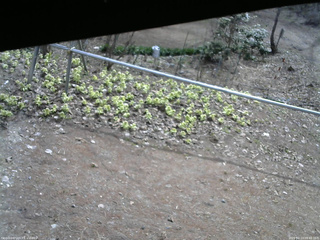 長野県菅平高原 ゆたか山荘 駐車場 2026/04/13 08:45