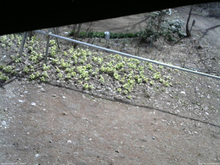 長野県菅平高原 ゆたか山荘 駐車場 2026/04/13 09:00