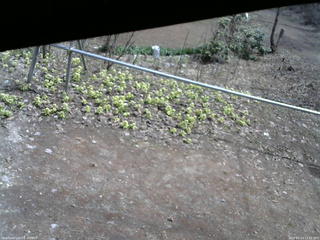 長野県菅平高原 ゆたか山荘 駐車場 2026/04/13 11:15