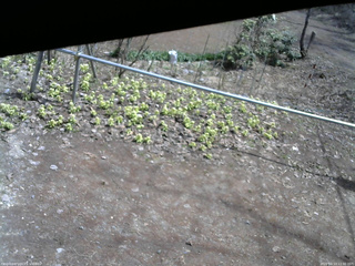 長野県菅平高原 ゆたか山荘 駐車場 2026/04/13 11:30