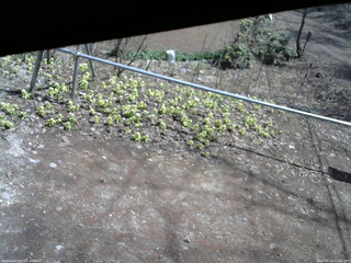 長野県菅平高原 ゆたか山荘 駐車場 2026/04/13 11:45