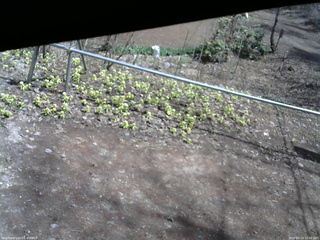 長野県菅平高原 ゆたか山荘 駐車場 2026/04/13 12:00