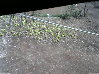 長野県菅平高原 ゆたか山荘 駐車場 2026/04/13 12:15