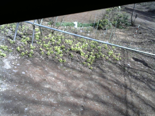 長野県菅平高原 ゆたか山荘 駐車場 2026/04/13 13:15