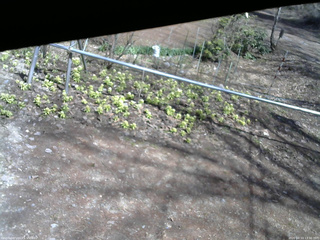 長野県菅平高原 ゆたか山荘 駐車場 2026/04/13 13:30