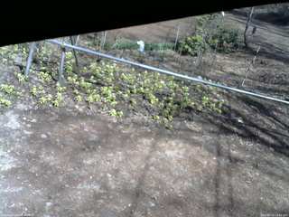 長野県菅平高原 ゆたか山荘 駐車場 2026/04/13 13:45