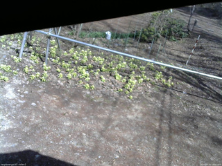 長野県菅平高原 ゆたか山荘 駐車場 2026/04/13 14:00