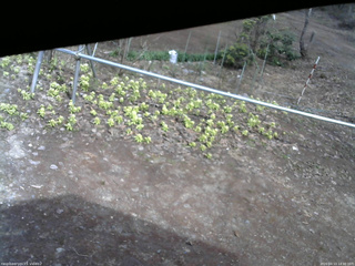 長野県菅平高原 ゆたか山荘 駐車場 2026/04/13 14:30