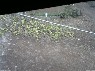 長野県菅平高原 ゆたか山荘 駐車場 2026/04/13 14:45