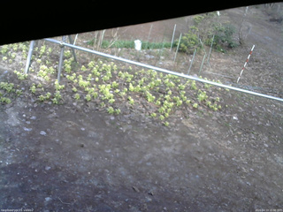 長野県菅平高原 ゆたか山荘 駐車場 2026/04/13 15:30